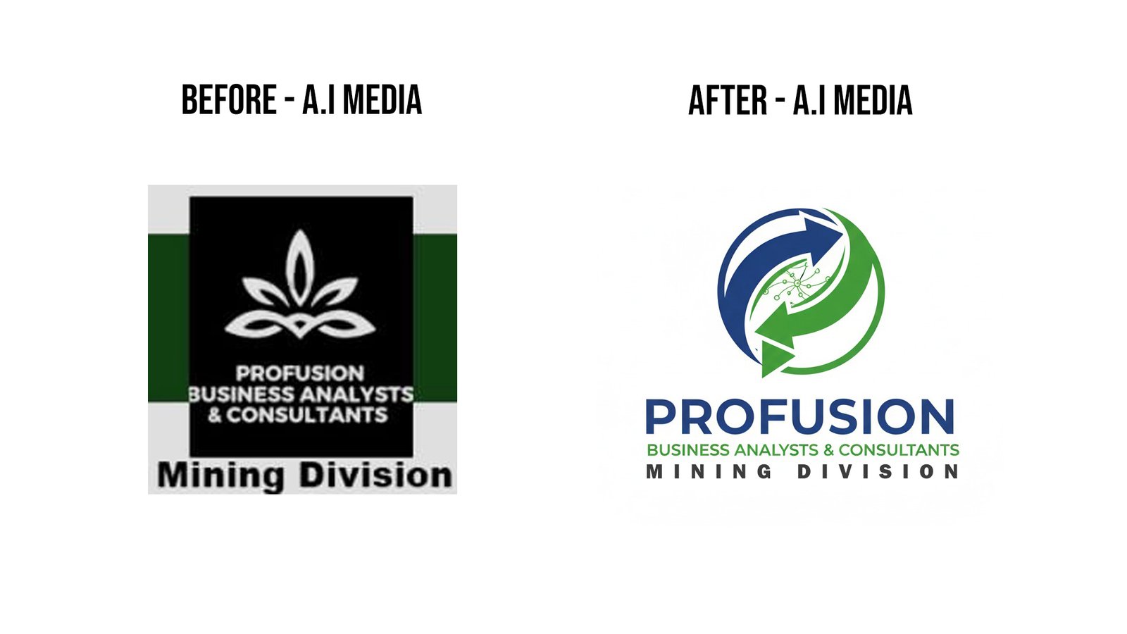 Silver - The Professional - Image 3